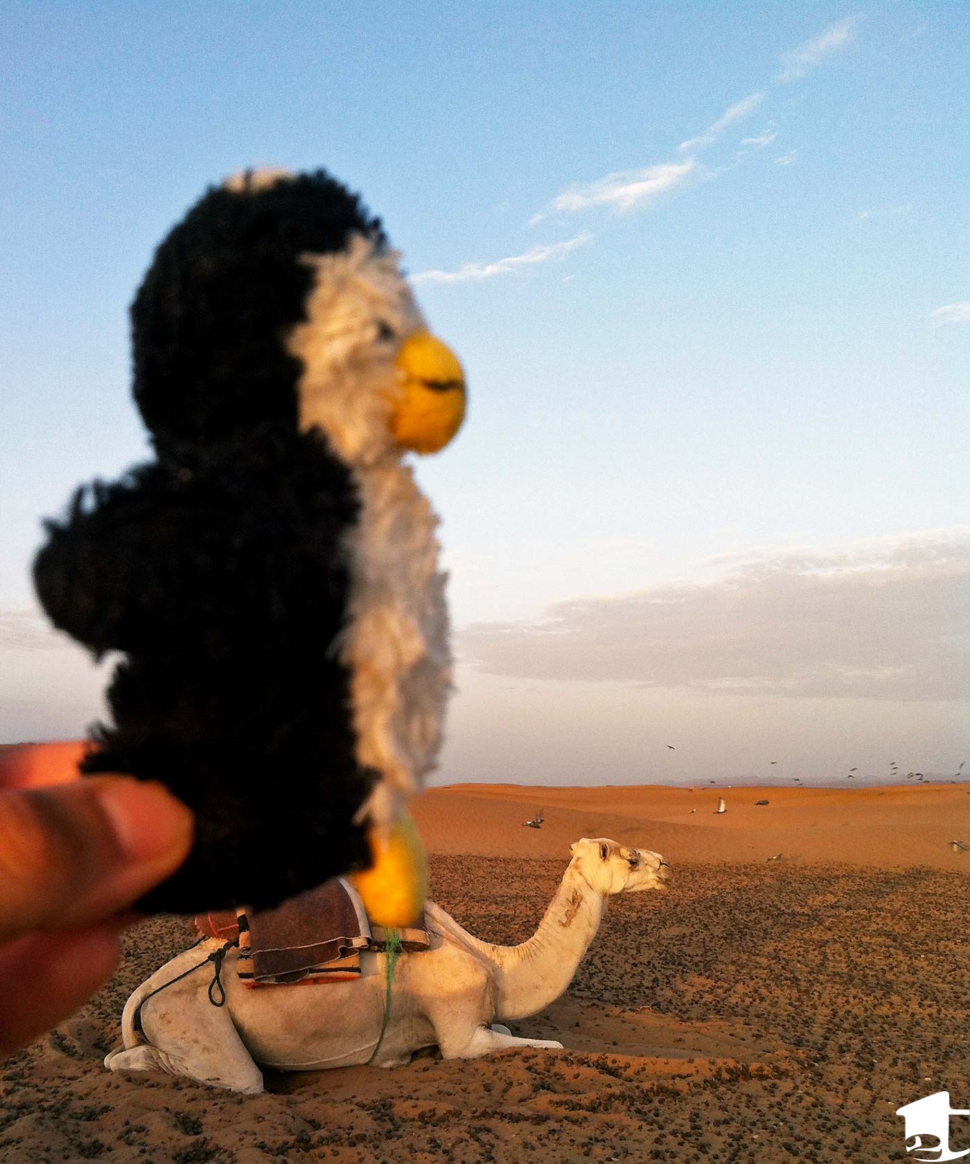 Tiny on a Camel