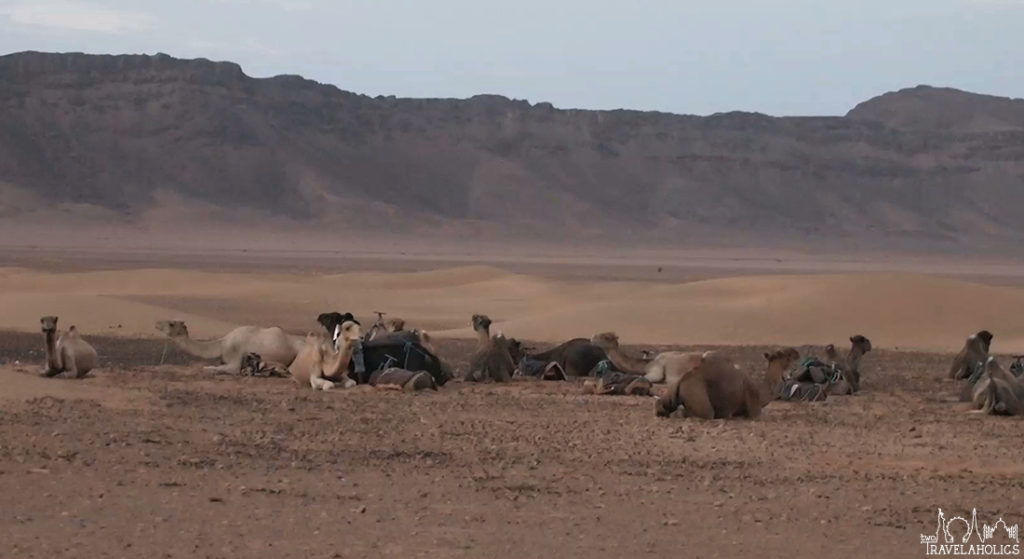 Video: Berber Songs In The Sahara Desert Song Four