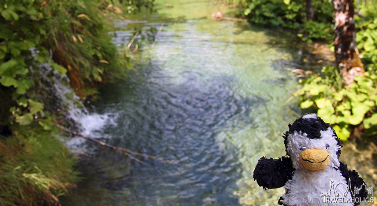 Tiny at Plitvice Lakes National Park