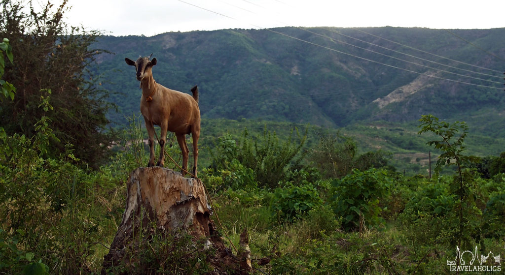 Chitimba, Malawi