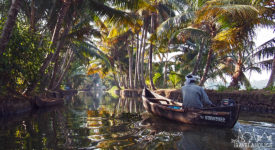 Alleppey's Backwaters