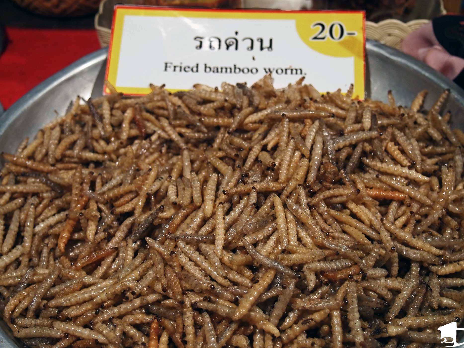Fried Bamboo Worms