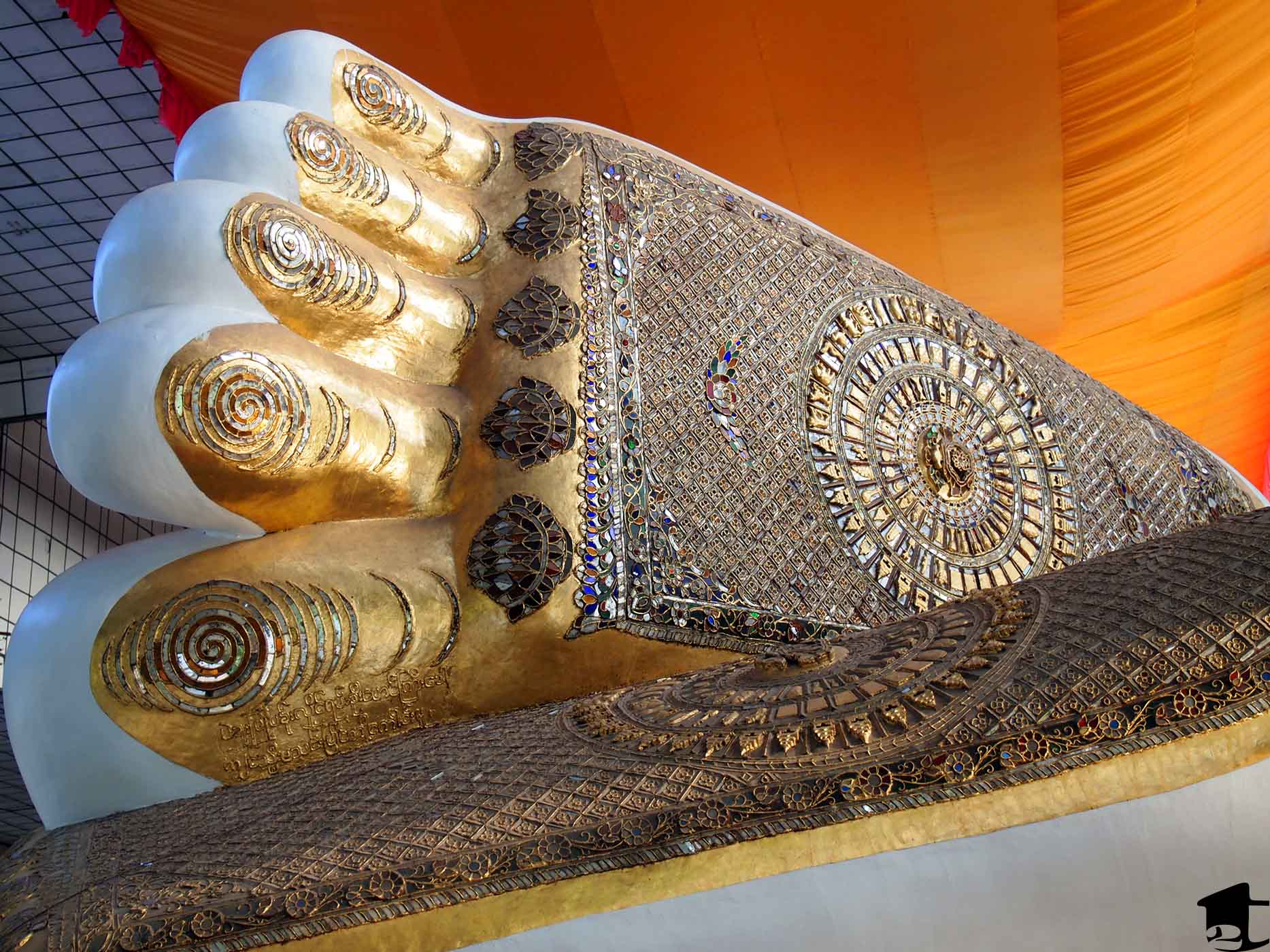 Buddha's Foot
