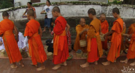 Video: Monks Receiving Morning Alms In Luang Prabang, Laos