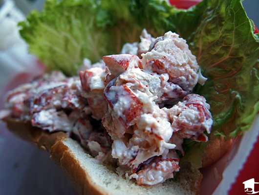 Maine Lobster Roll