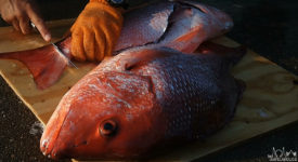 Video: How to Fillet a Red Snapper