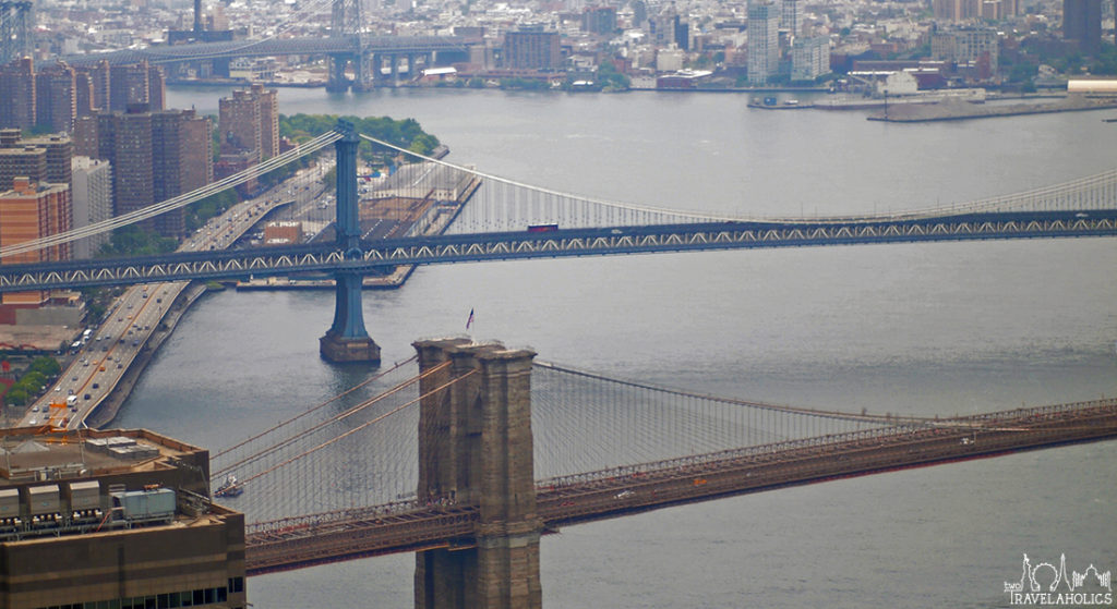 Buzzing Around The Big Apple FI