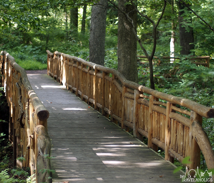 A wooden bridge inside the National Arboretum