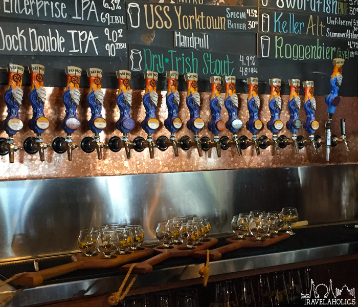 All the taps at Dry Dock Brewery with our tasters lined up below them.
